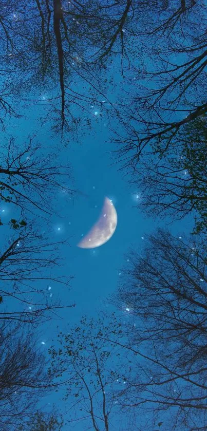 Crescent moon and trees in a blue night sky with stars.