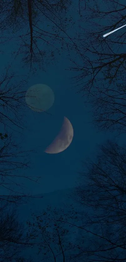 Crescent moon and shooting star in a night sky framed by trees.