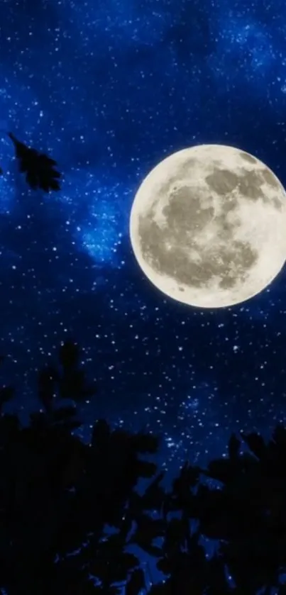 Full moon and starry sky with dark silhouettes of trees.