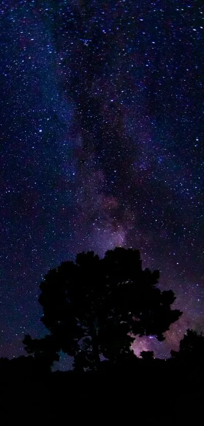 Silhouette of trees against a Milky Way starry night sky.