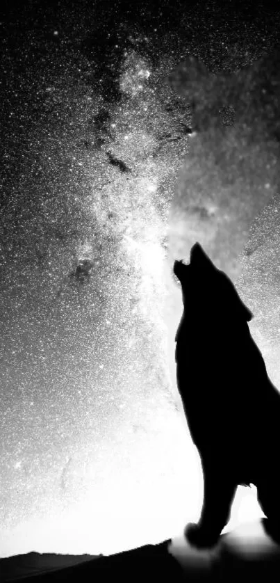 Silhouette of a wolf under a starry night sky with galaxy backdrop.