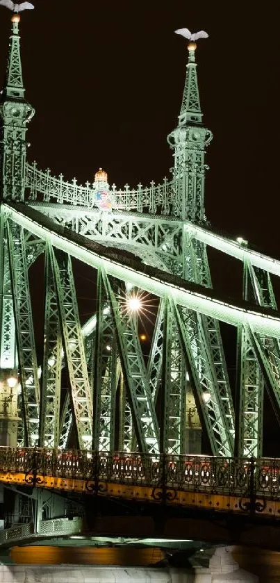 Liberty Bridge in Budapest illuminated at night with stunning architectural details.