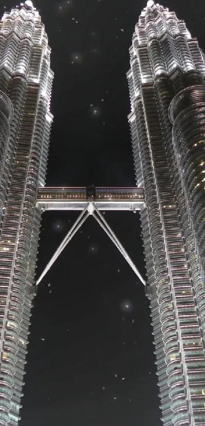 Night view of iconic twin towers lit against a dark sky.