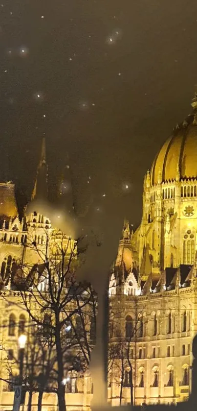 Illuminated Budapest architecture under a starry night sky.