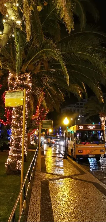 Nighttime city street with palm trees decorated with lights.