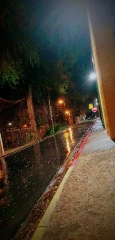 Nighttime street scene with rain and warm streetlights.