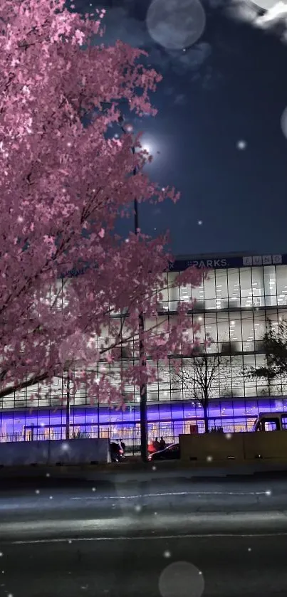 Night cityscape with sakura tree and pink blossoms.