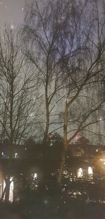 Tree silhouette against evening sky with glowing lights.