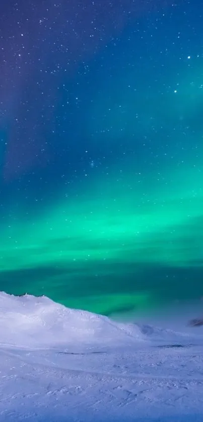 Vibrant green and blue aurora borealis over a snowy landscape.