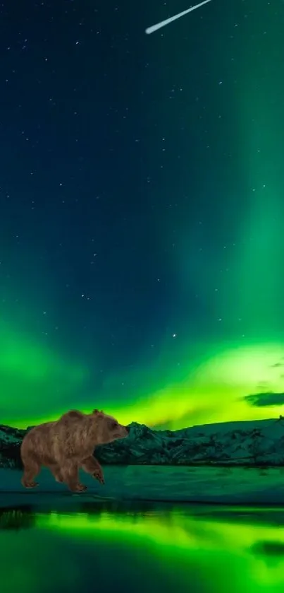 Bear under Northern Lights with mountains and reflection.