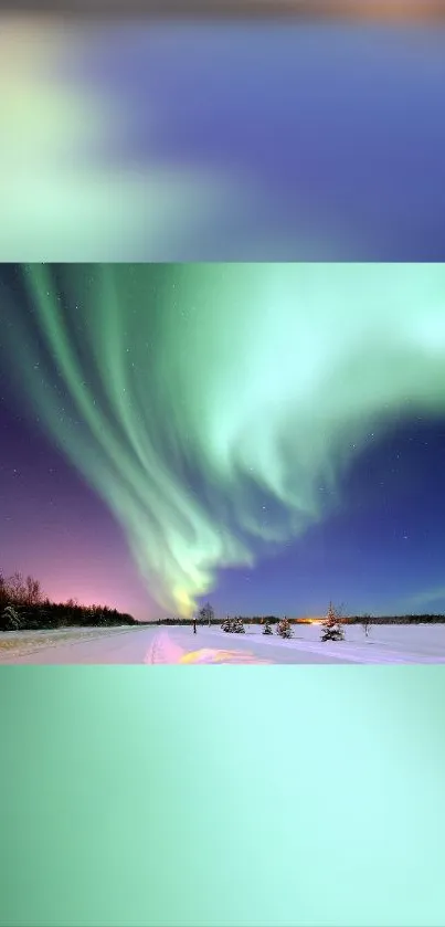 Northern lights illuminating a snowy landscape under a starry sky.