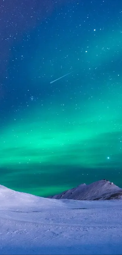 Stunning northern lights over snowy winter landscape with a starry sky.