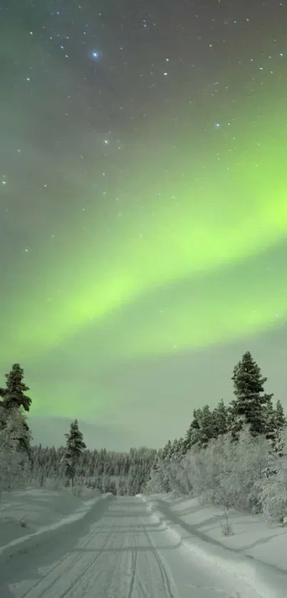 Northern Lights over snowy forest road at night.