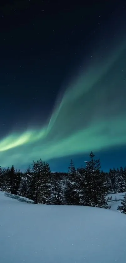 Northern lights over snowy forest with dark blue sky.