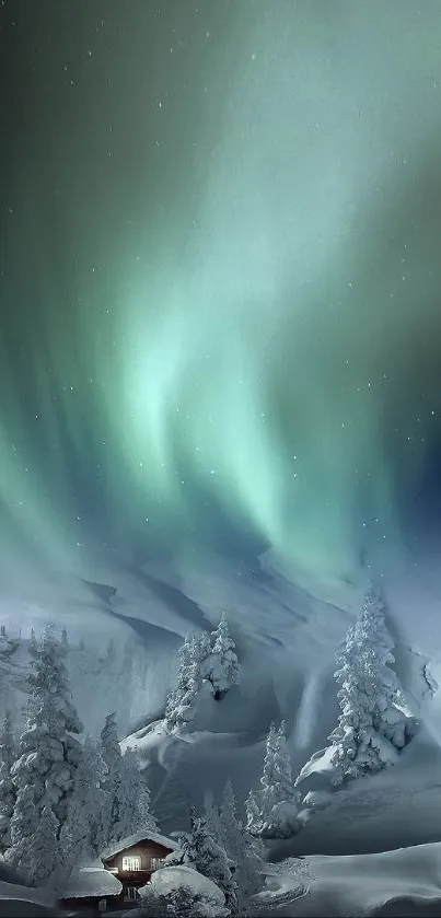 A tranquil winter scene with northern lights in the sky over a snowy landscape.
