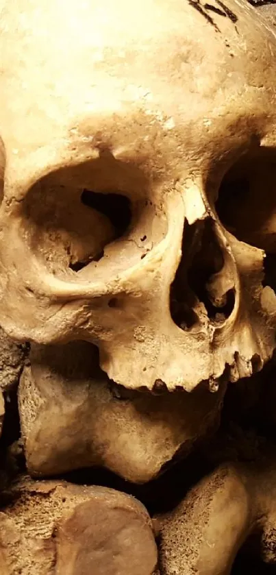 skull Live Wallpaper