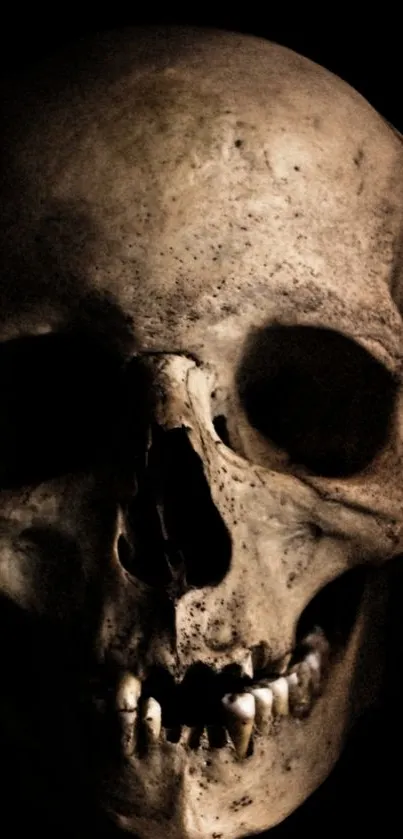 skull Live Wallpaper