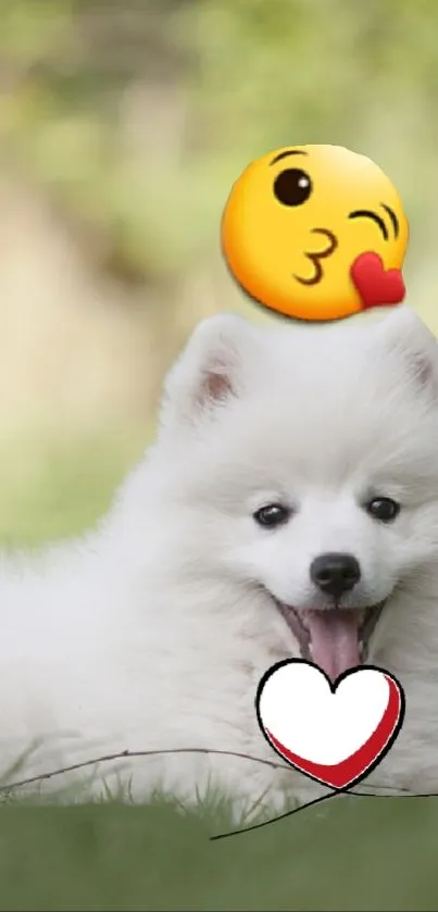 Nose Smile Dog Live Wallpaper