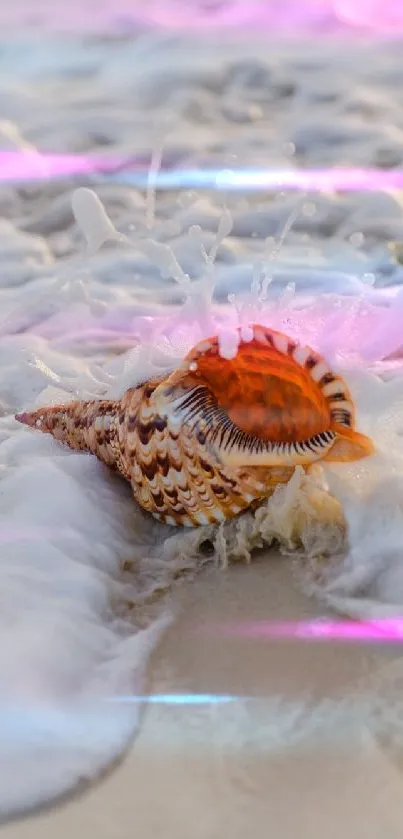 Orange seashell with ocean waves on a sandy beach.