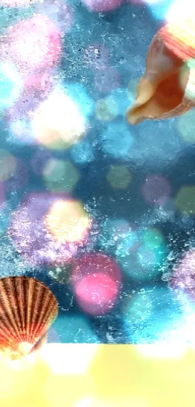 Ocean shells on a deep blue background.