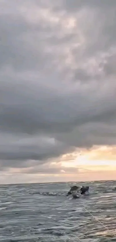 A serene ocean at sunset with a cloudy sky.