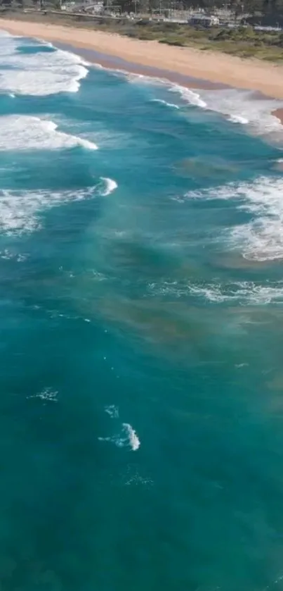 Aerial view of teal ocean waves meeting a sandy beach on a clear day.