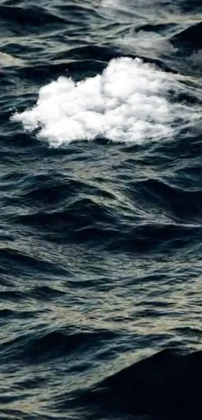 Dark ocean waves with a white cloud in the center of the image.