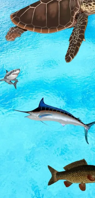 Vibrant ocean wildlife with turtle, fish, and shark in blue sea mobile wallpaper.