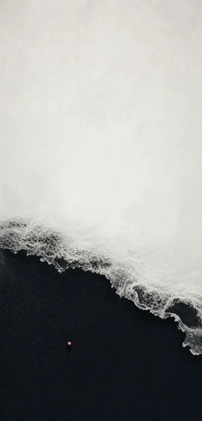 Aerial view of ocean waves with black and white contrast.