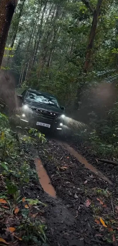 Car driving on a muddy forest trail with vibrant green surroundings.