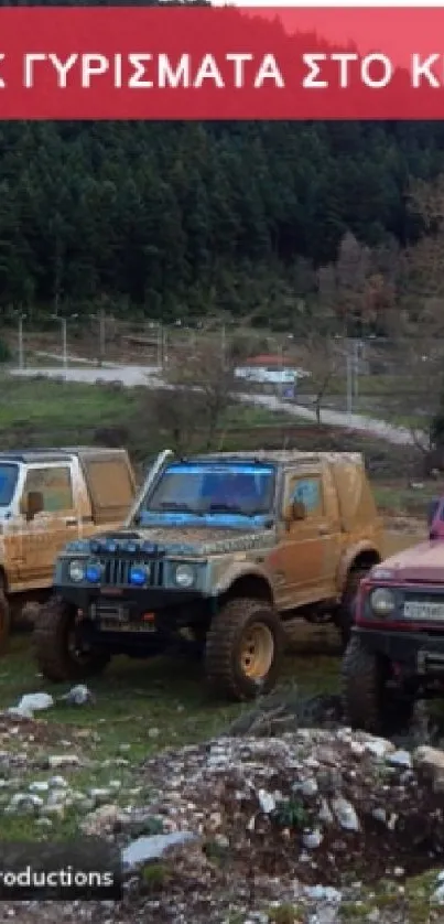 Off-road vehicles parked in scenic forest landscape.