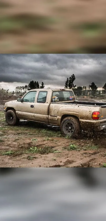 Truck on a muddy terrain with a cloudy sky.