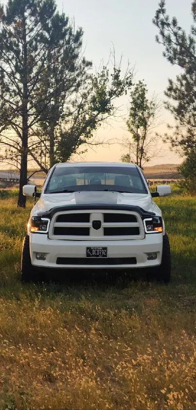 White truck parked amidst nature with trees in the background.