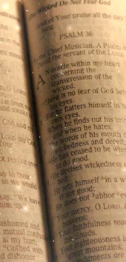 Open Bible illuminated by warm, soft light.