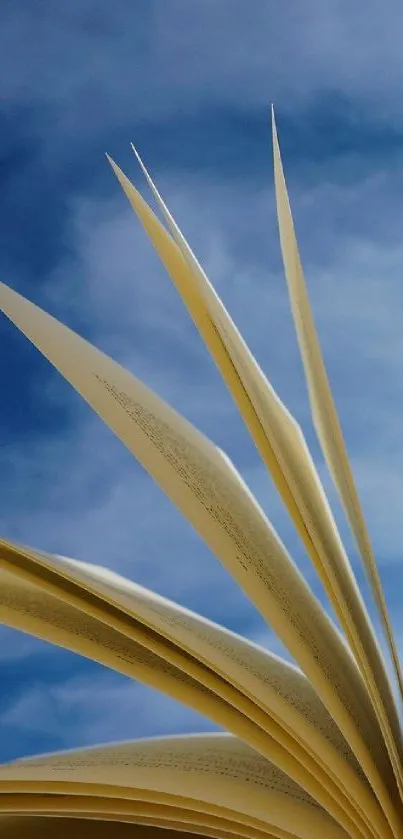 Open book with pages against a blue sky.