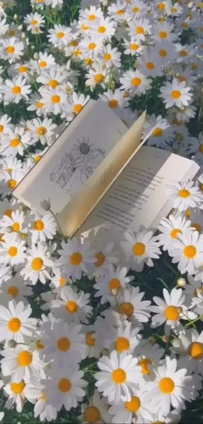 Open book nestled in a field of daisies.