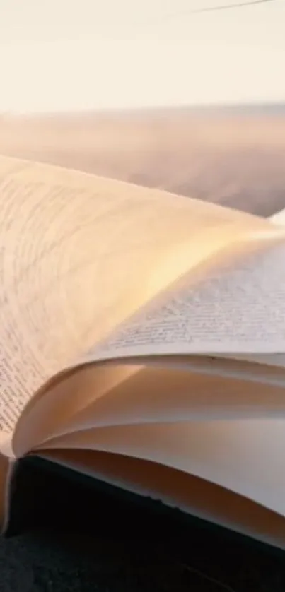 Open book on sandy beach backdrop, evoking calm and leisure.