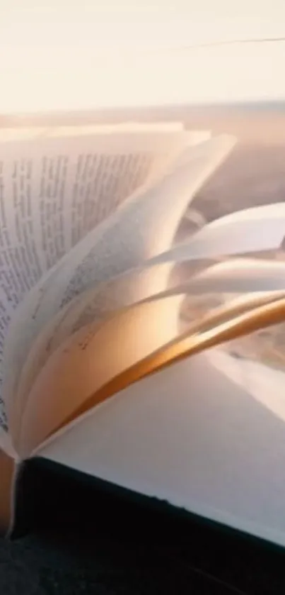 An open book on a peaceful sandy beach at sunset.