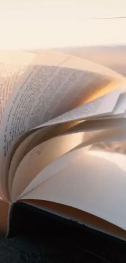 Open book with pages fluttering against a sunset beach background.