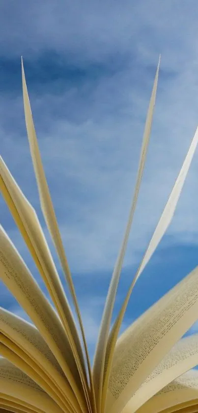 Open book with pages fanned against a blue sky.