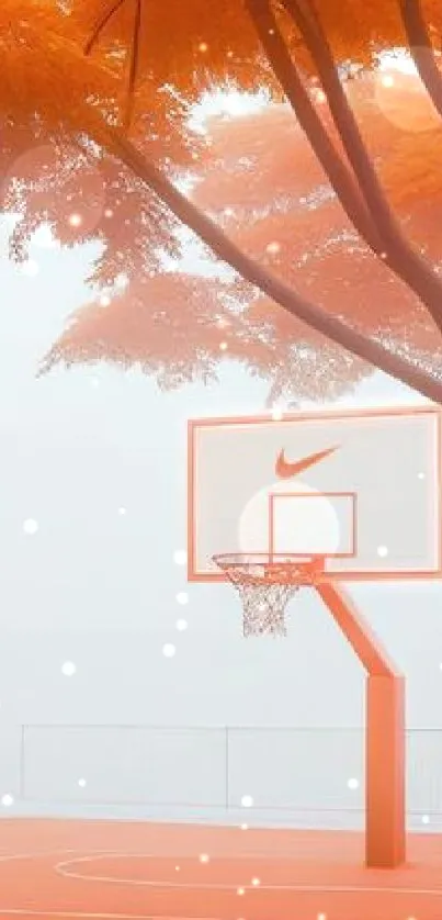 Orange basketball court with misty trees in the background.