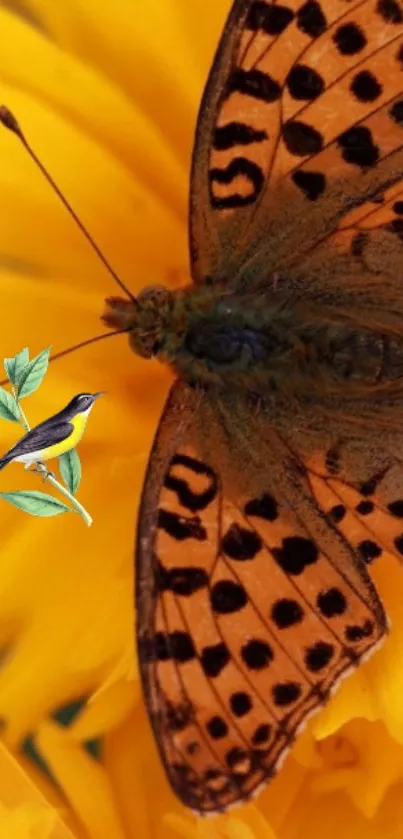 Orange butterfly on a yellow flower with small bird.