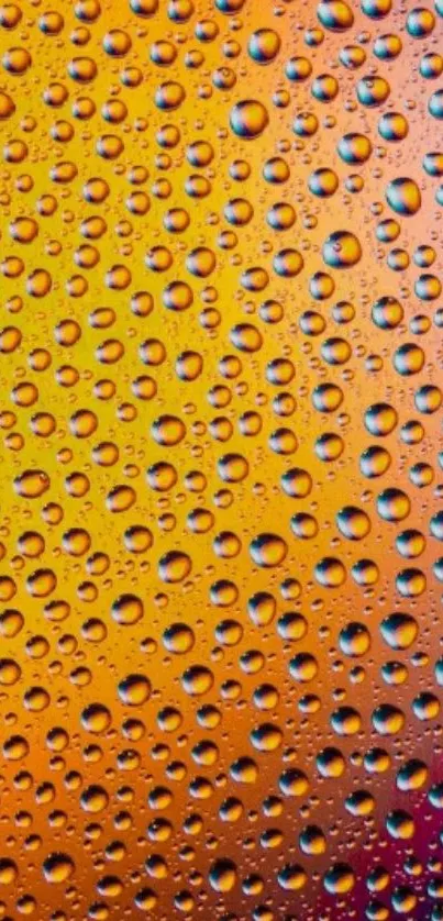 Orange Closeup Abstract Live Wallpaper