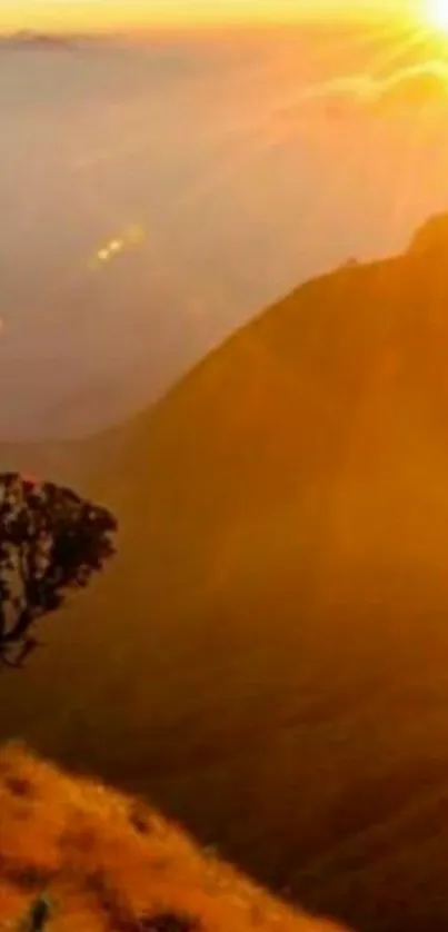 Orange Cloud Sky Live Wallpaper