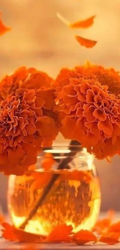 Orange marigold flowers in a glass vase with a warm, vibrant background.