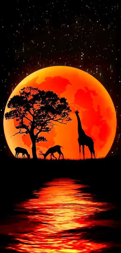 Silhouettes of giraffes and tree against a glowing orange moon on a starry night.