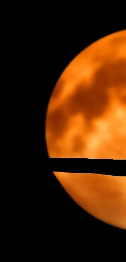 Silhouette against a large orange moon backdrop.