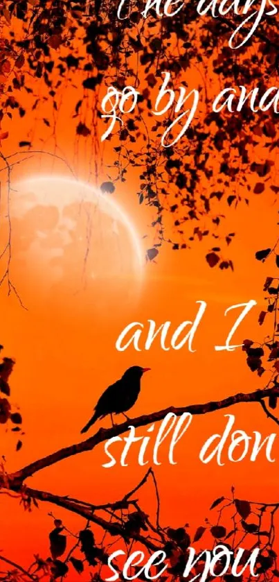 Orange night sky wallpaper with moon and bird silhouette.