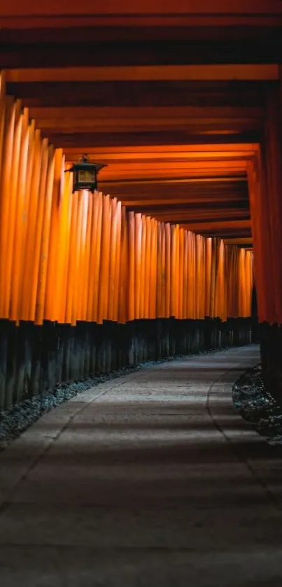 Orange Night Amber Live Wallpaper