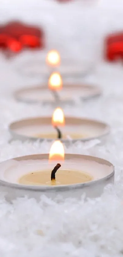 Orange Petal Candle Live Wallpaper